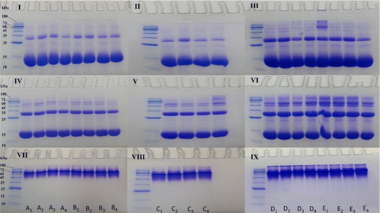 Fig. 8