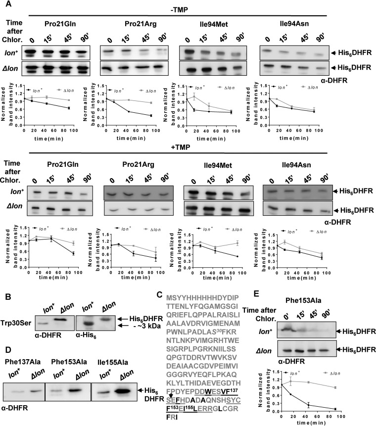 FIG 6