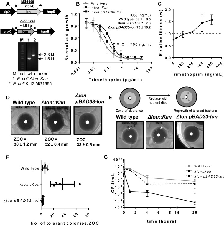 FIG 1