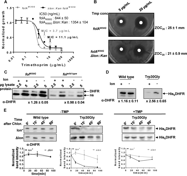 FIG 4