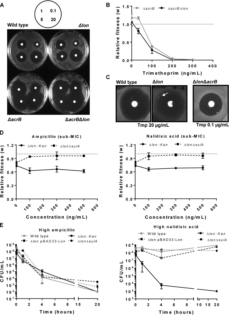 FIG 3