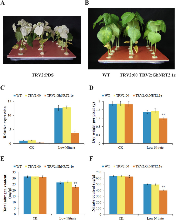 Figure 11