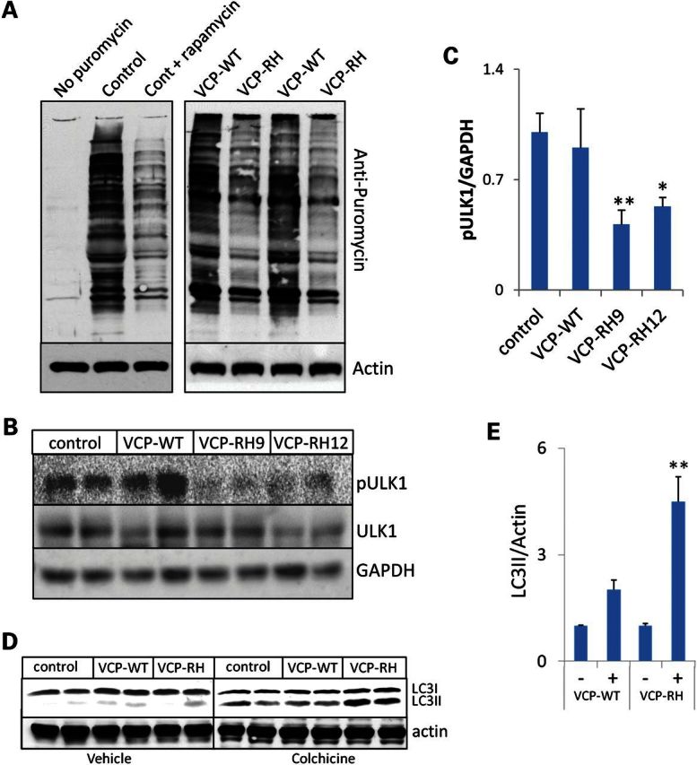 Figure 2.