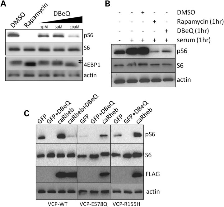 Figure 6.