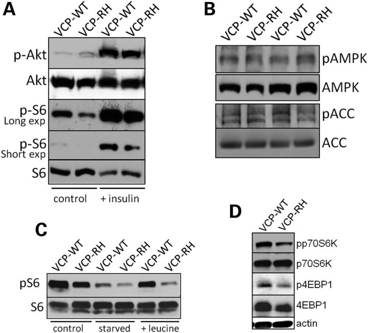 Figure 5.