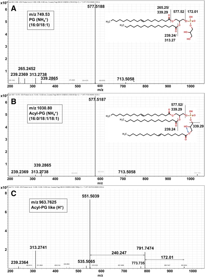 Fig. 3.