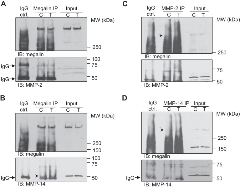 Fig. 10.