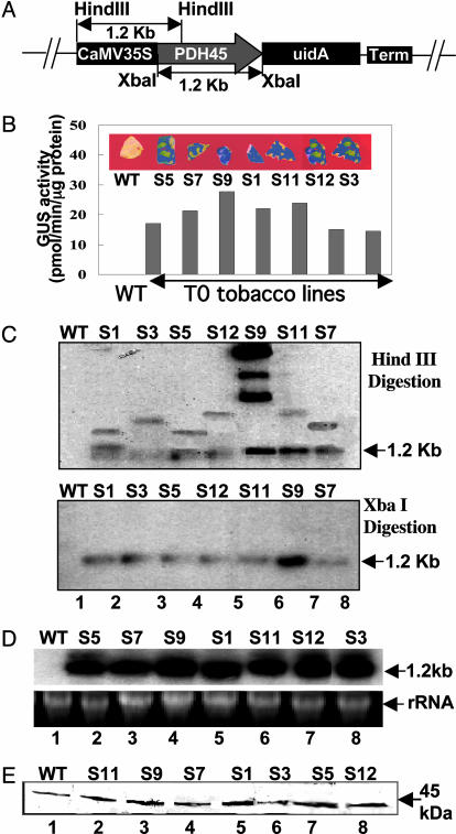 Fig. 3.