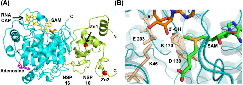 Fig. 6