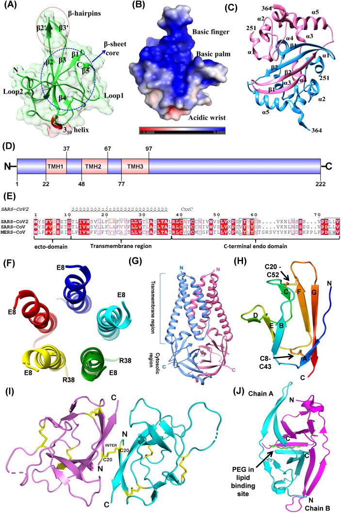 Fig. 8