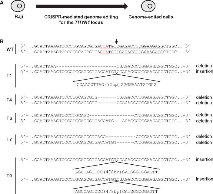 Figure 3.