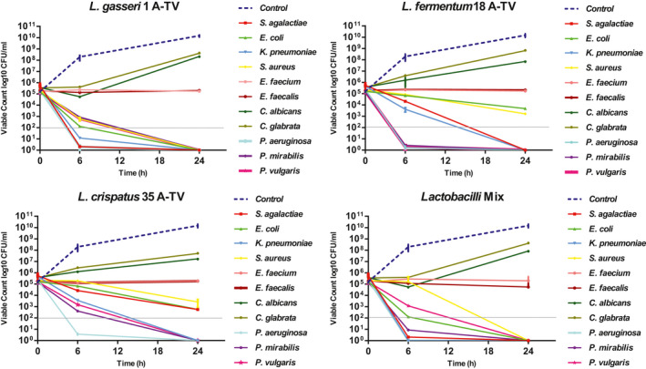 FIGURE 3