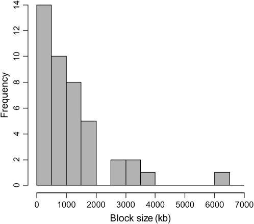 Figure 5.—