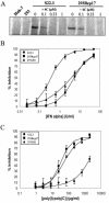FIG. 7.