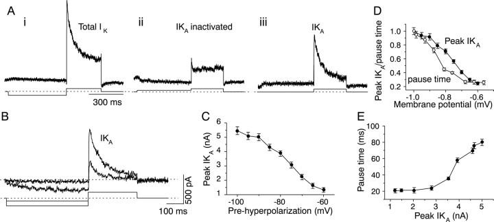 Fig. 12.