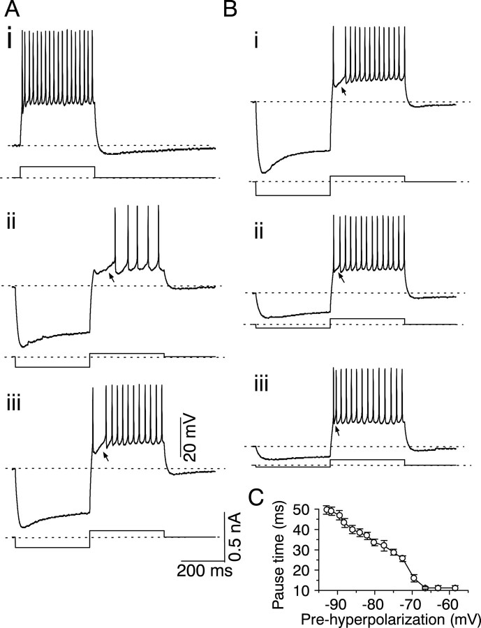 Fig. 11.