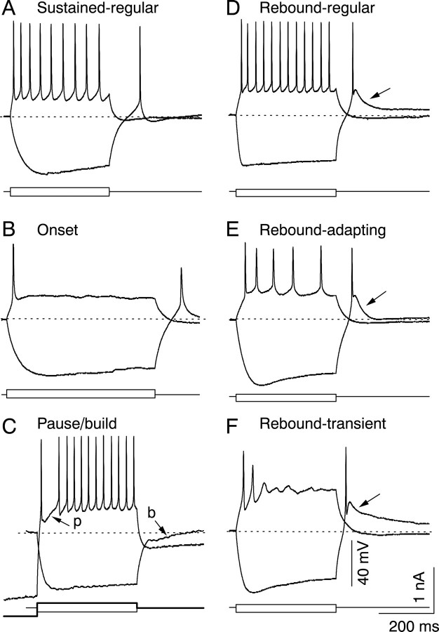 Fig. 13.