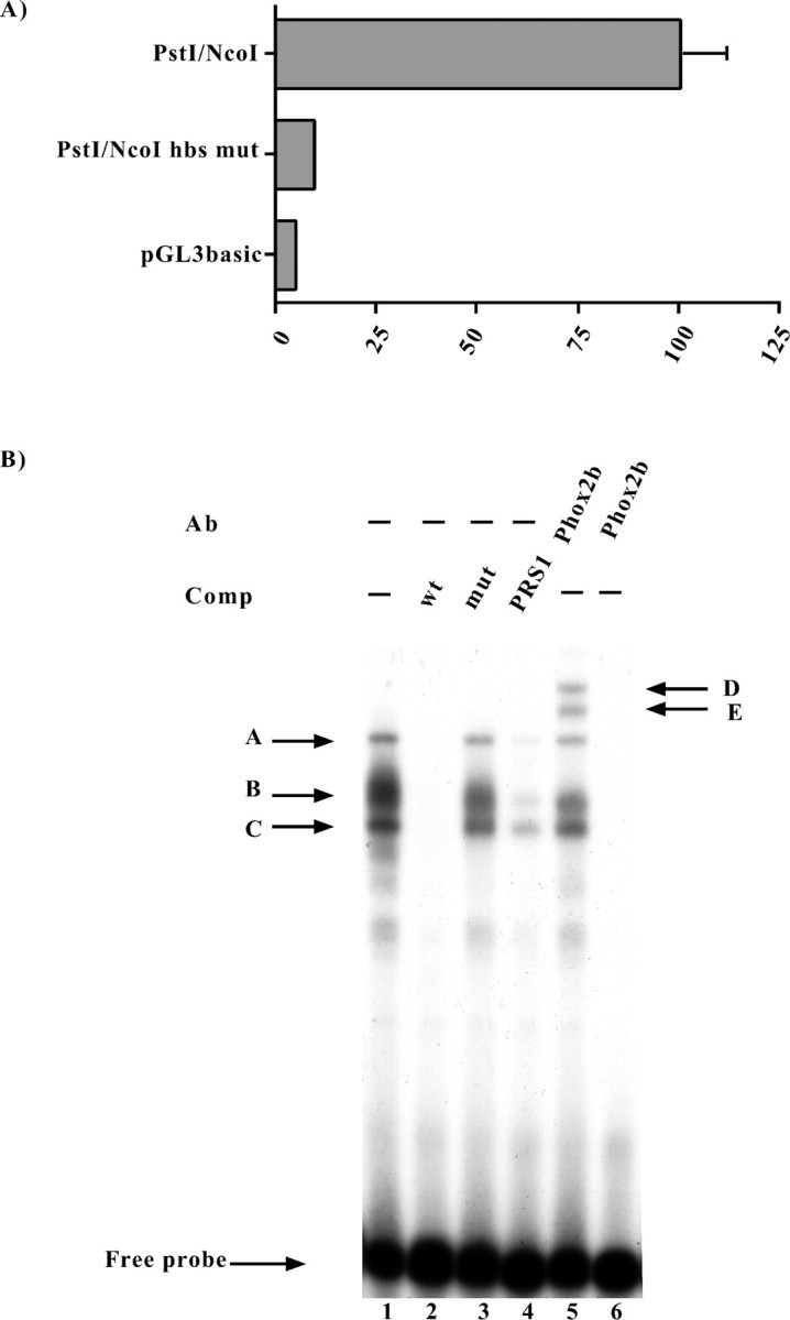 Fig. 8.