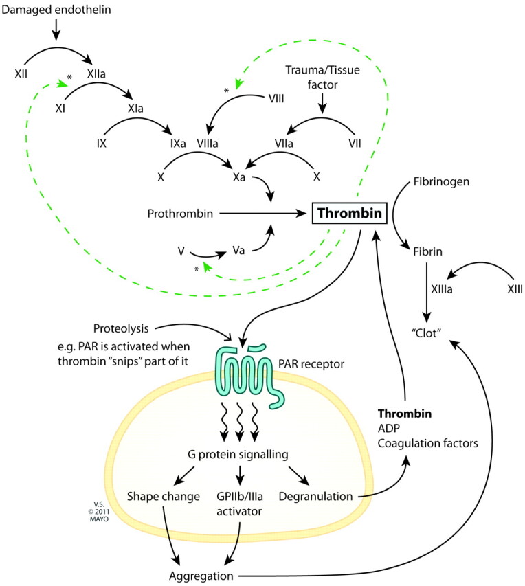 Fig 1.