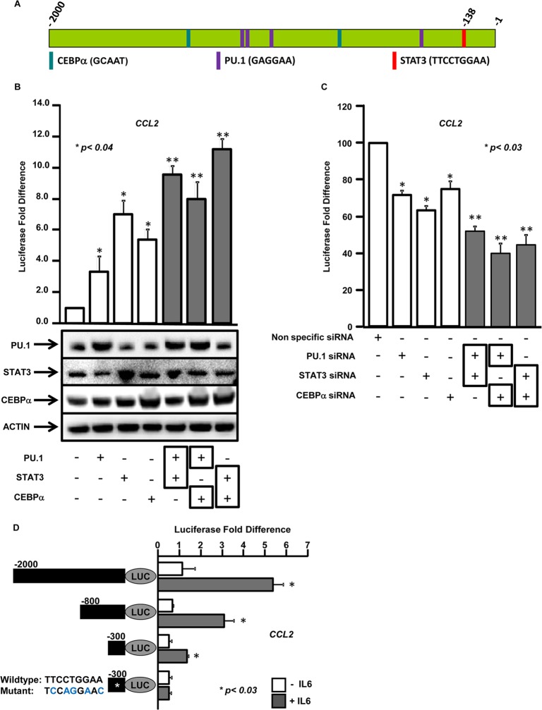 FIG 3