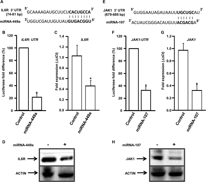 FIG 6