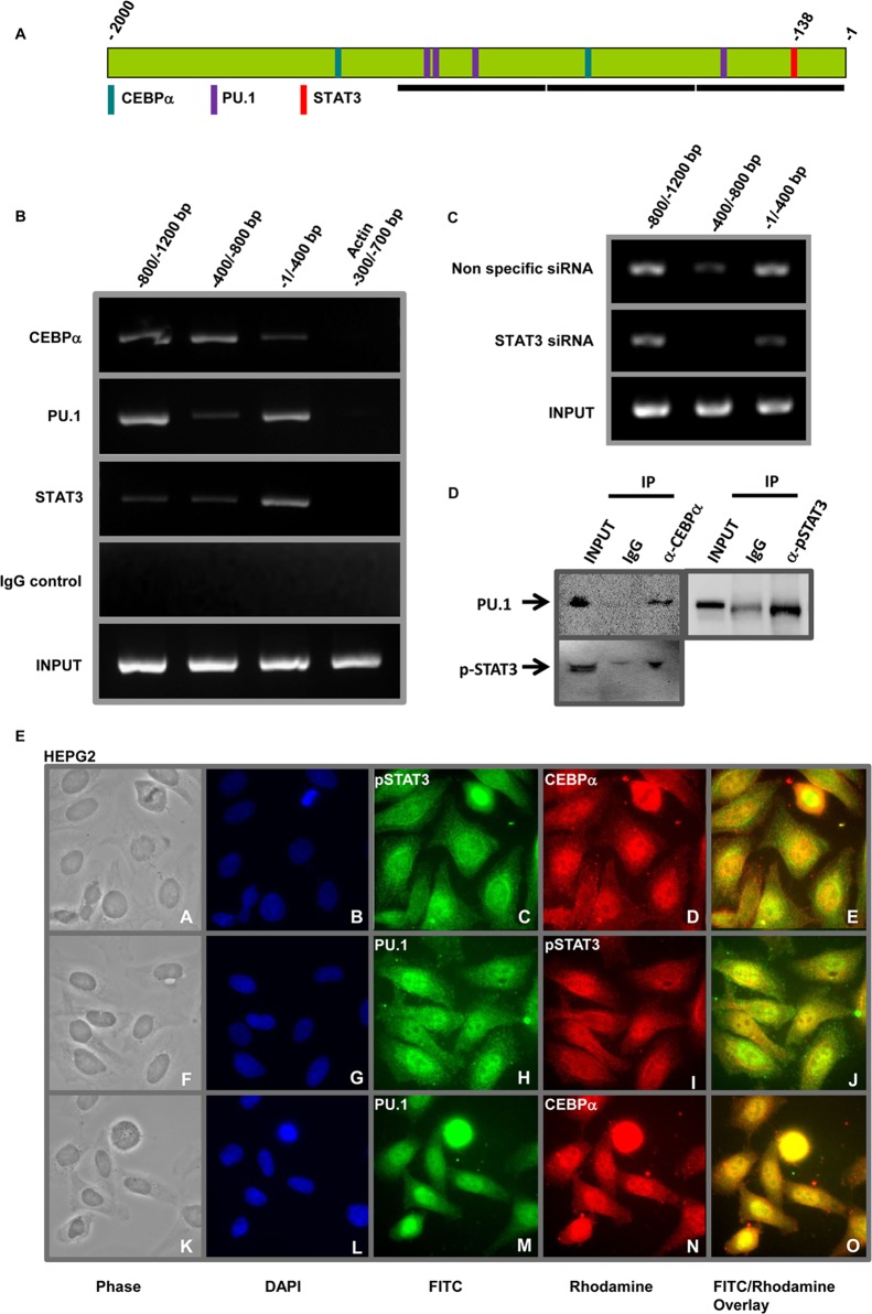 FIG 4