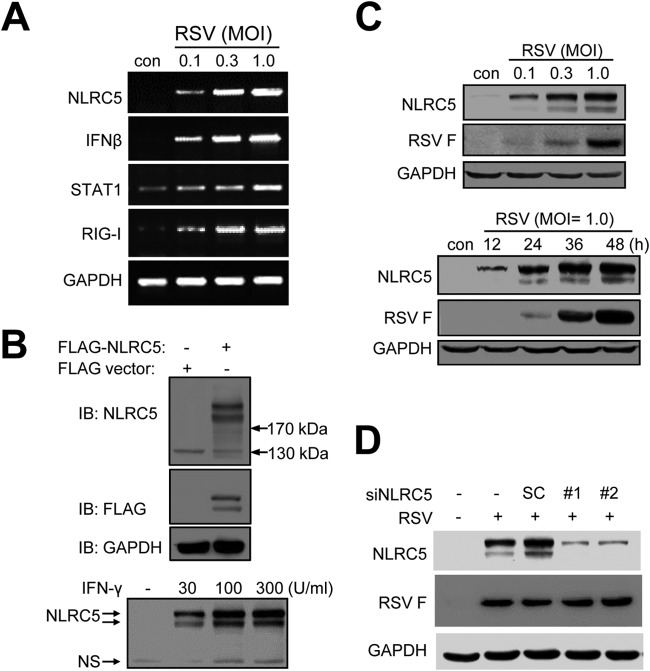 FIG 2