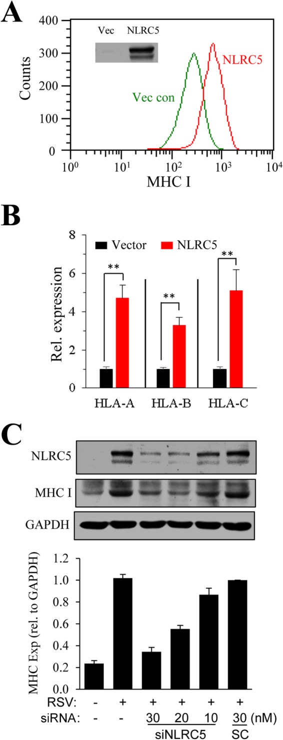 FIG 3