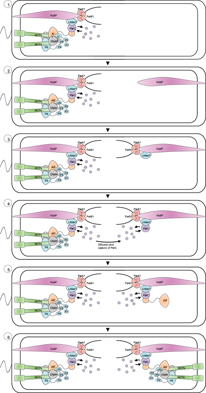 FIG 5