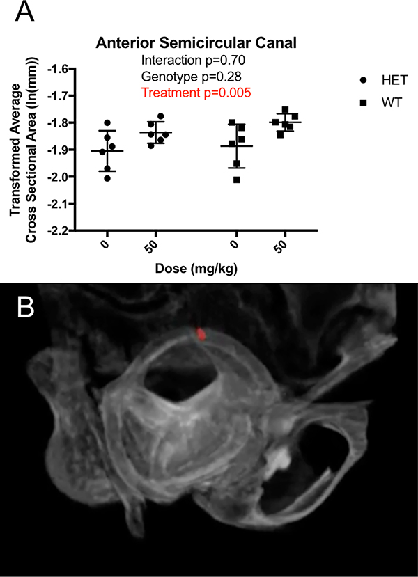 Figure 6: