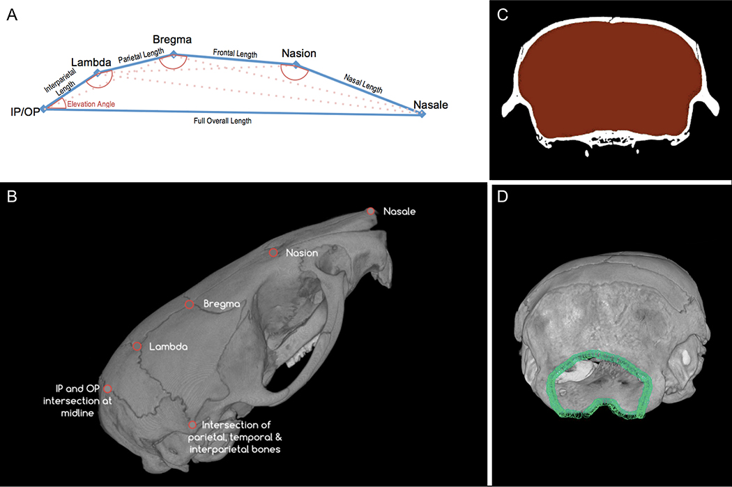 Figure 1: