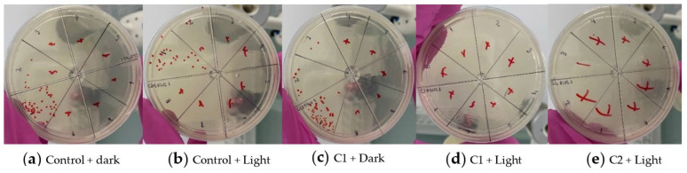 Figure 11