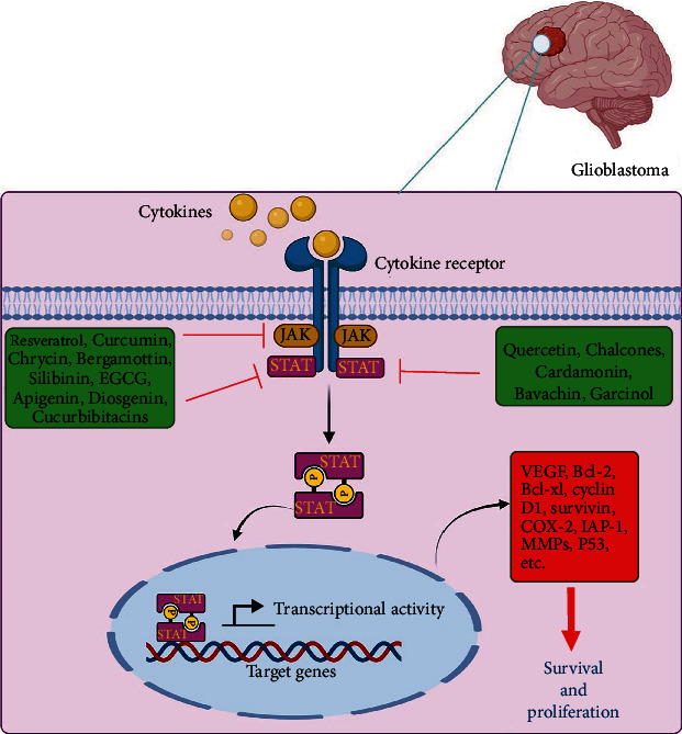 Figure 2