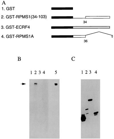 FIG. 6