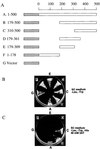 FIG. 7