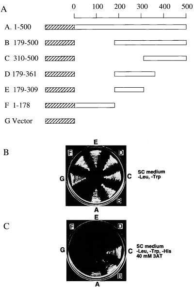 FIG. 7