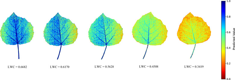 Fig. 8