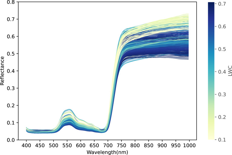 Fig. 3