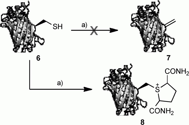 Scheme 2