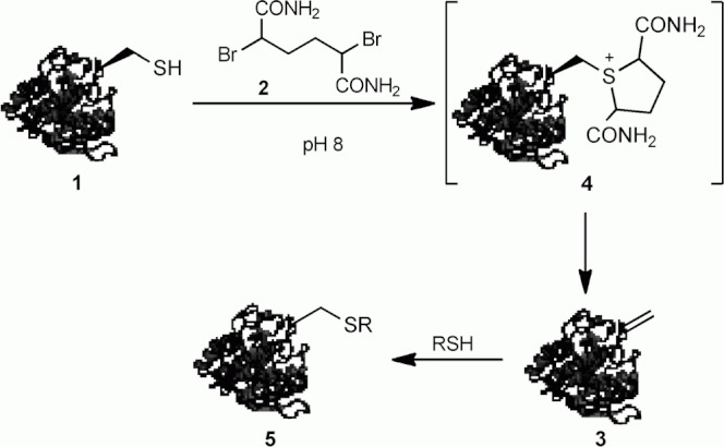 Scheme 1