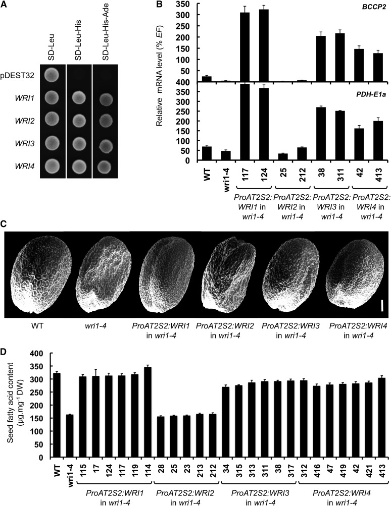 Figure 2.