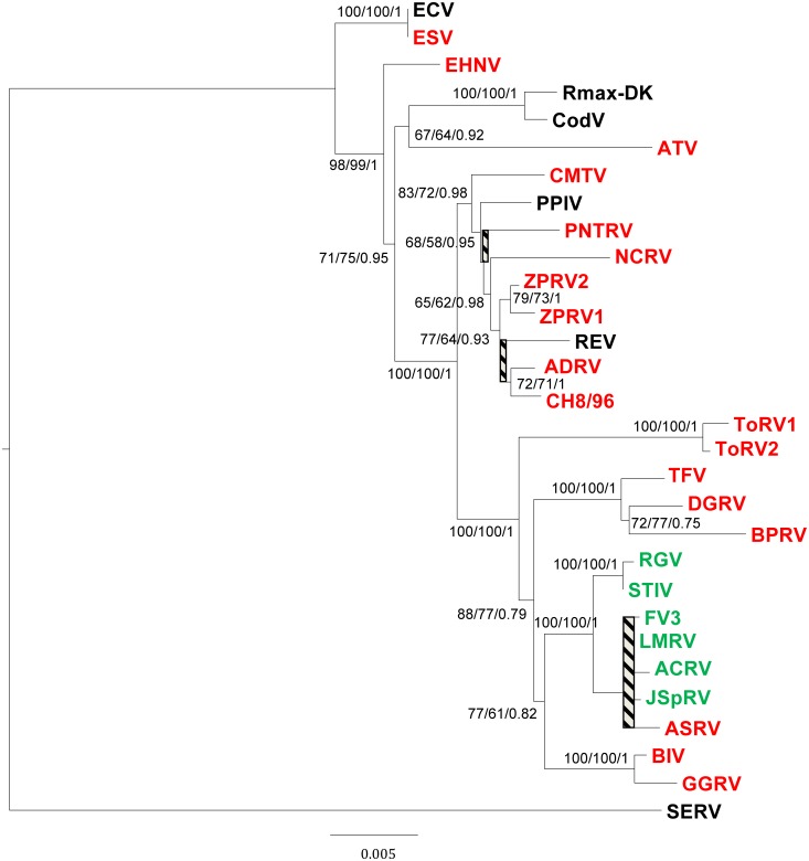 Fig 3