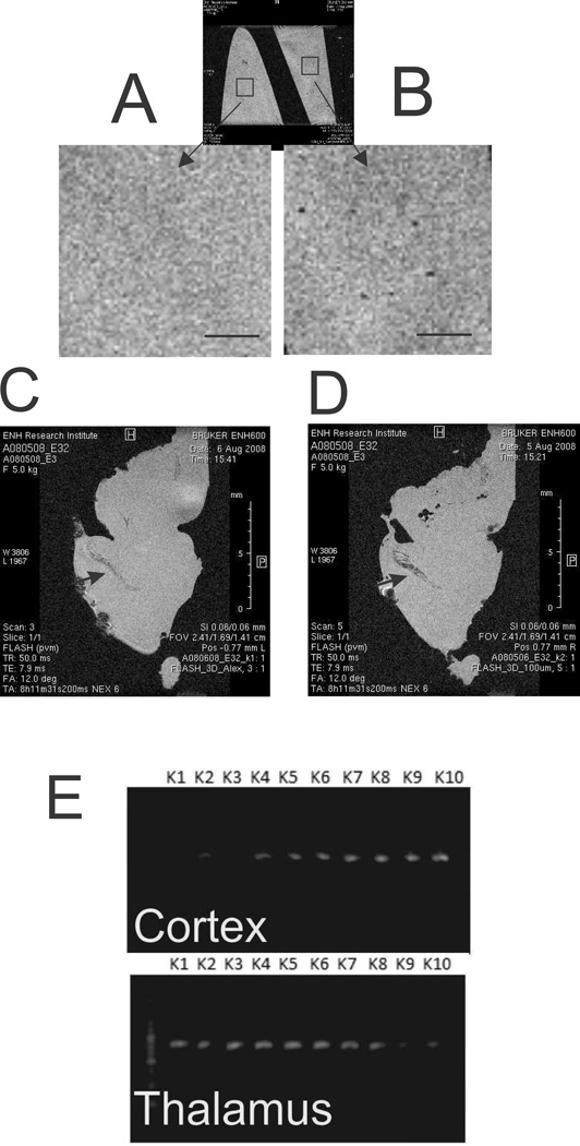 Fig 7