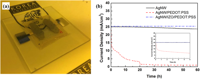 Figure 7