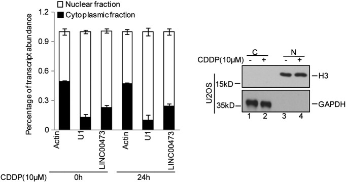 Supplementary Figure 1