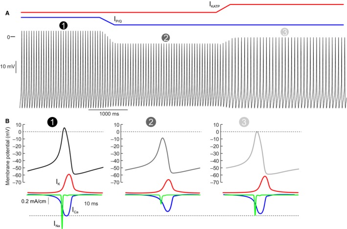 Figure 9