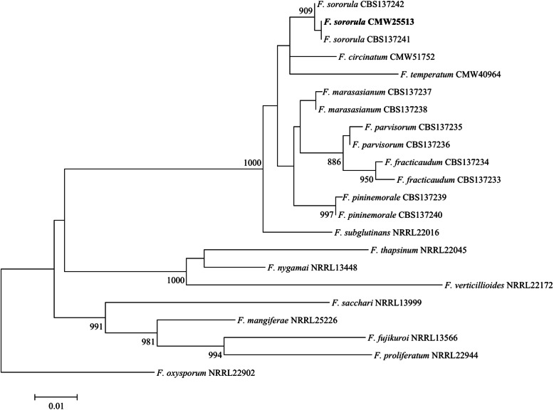 Fig. 2