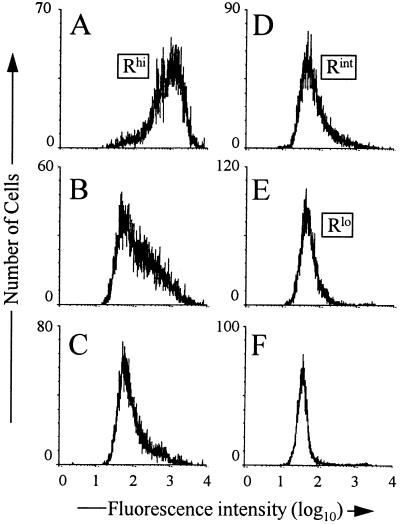 FIG. 3