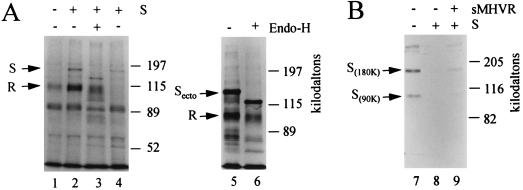 FIG. 12