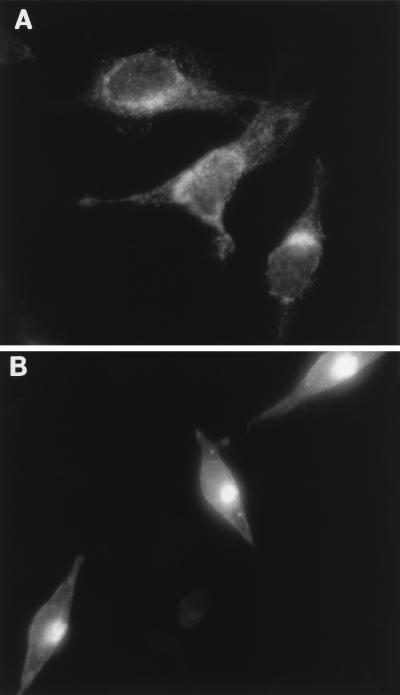 FIG. 10